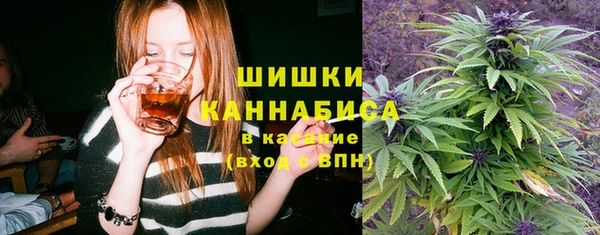 стафф Белая Холуница