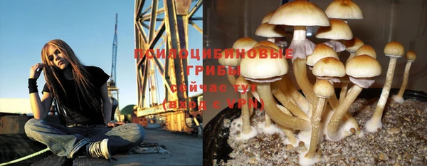 мет Михайлов