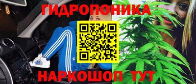 бошки Дубна