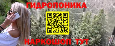 spice Донской