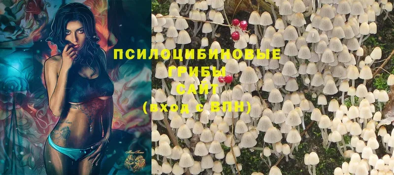 Галлюциногенные грибы Cubensis  Кострома 