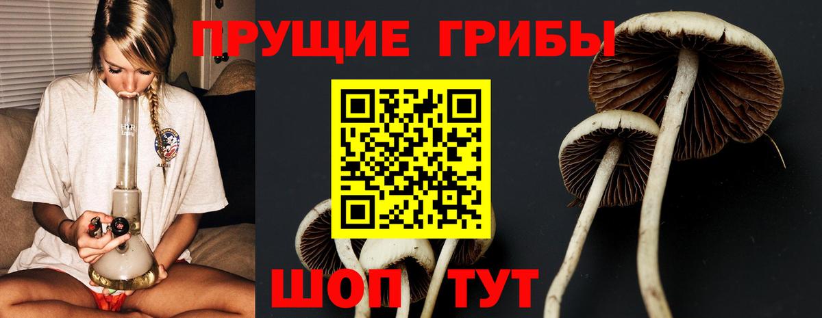 Кострома  Псилоцибиновые грибы Magic Shrooms  Вход с VPN 