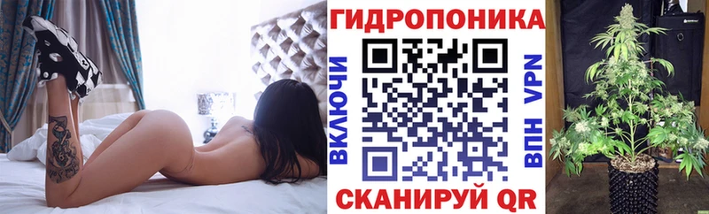 где можно купить наркотик KRAKEN ссылка Марихуана конопля Кострома
