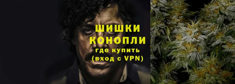 omg вход  где продают наркотики  Кострома  Канабис Amnesia 